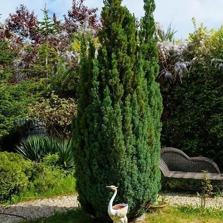 Maria Revas 호텔 5*