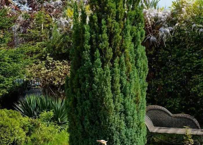 Maria Revas Hotell 5*